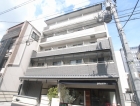 クリサンセマム