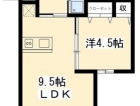 クリサンセマム